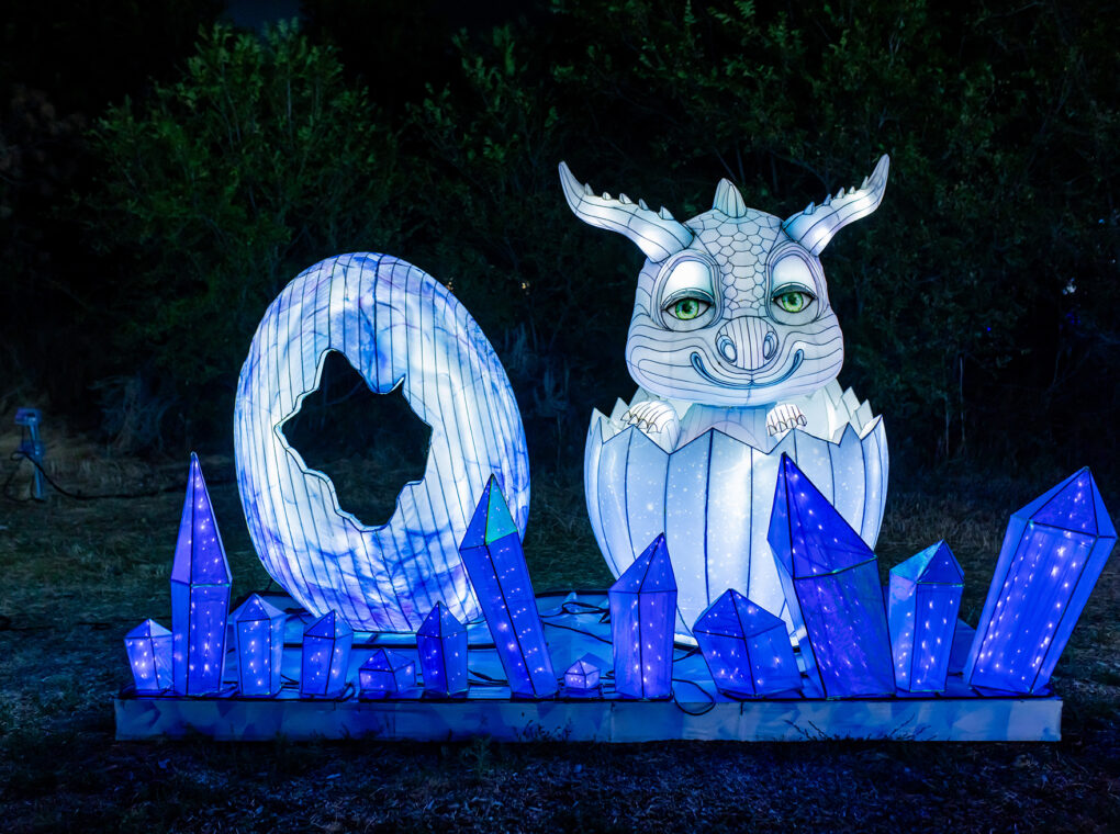 A glowing baby dragon in an egg display at night.