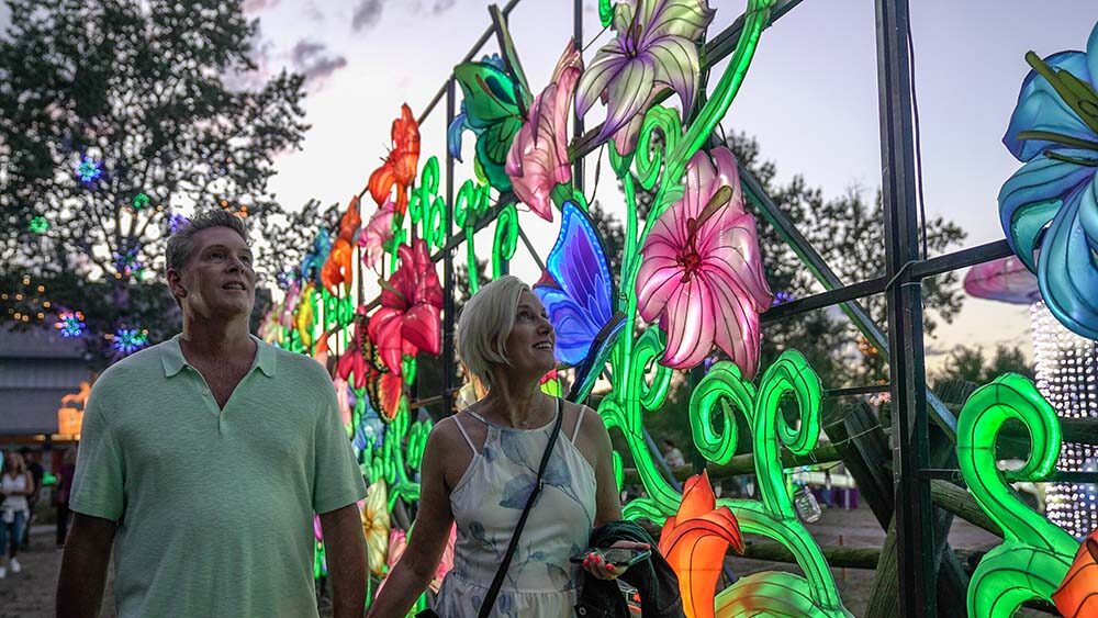 A couple admiring colorful illuminated flower display at night