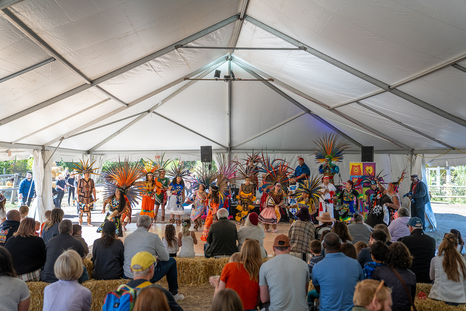Dancers in vibrant costumes perform under a large tent