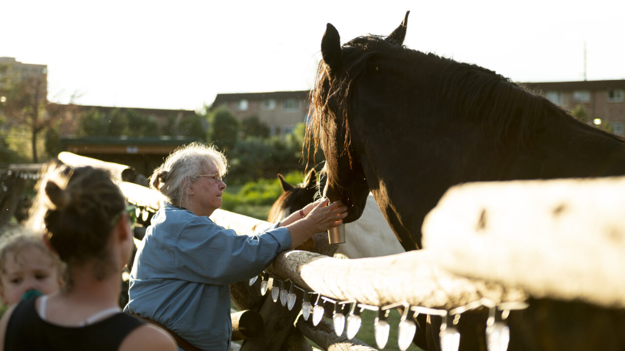 Elderly woman feeding a horse at a wooden fence, with people nearby