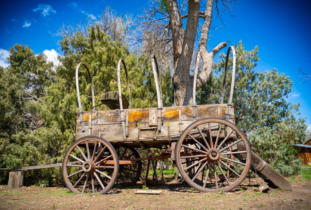 Old wooden covered wagon surrounded by trees and blue sky