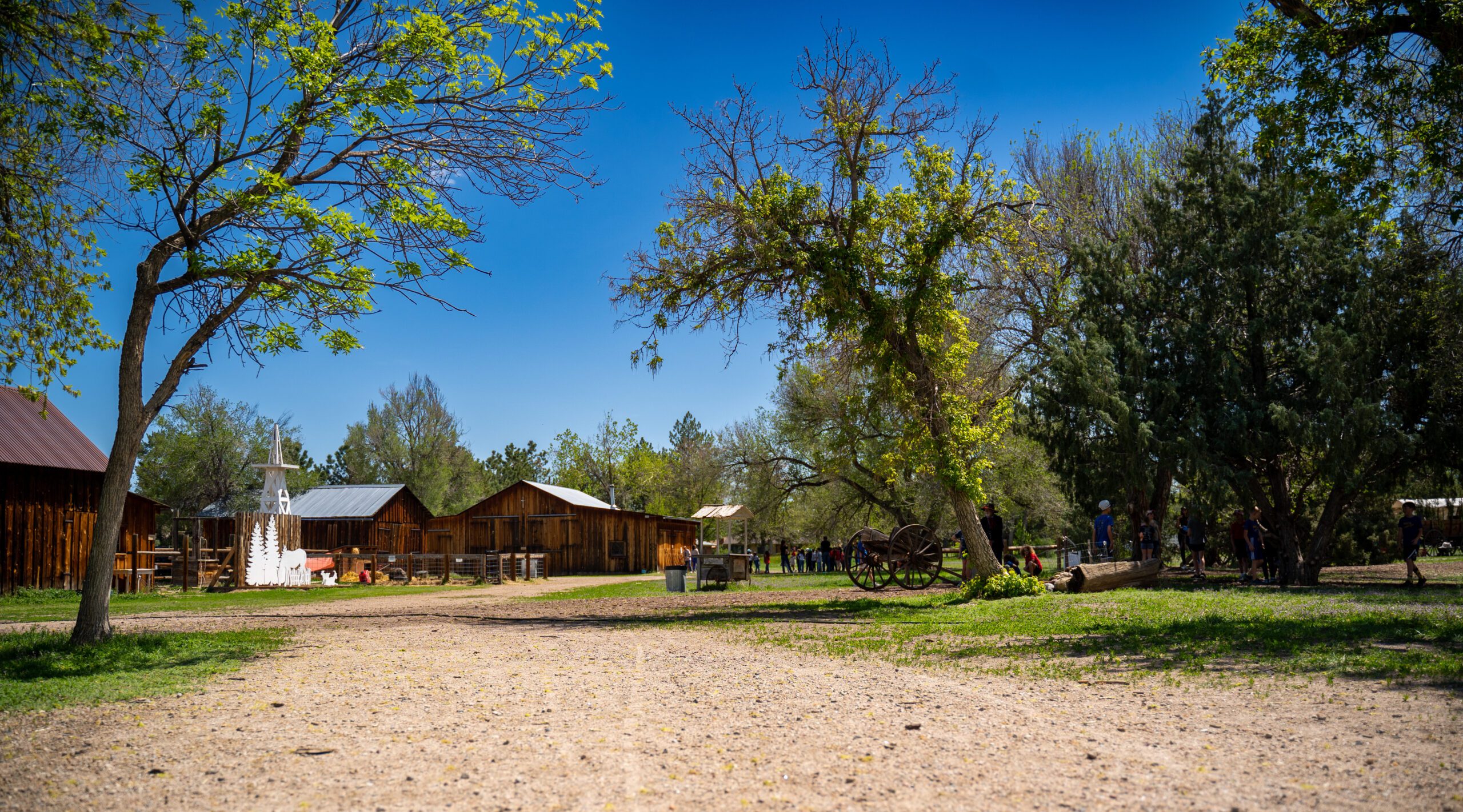 Dirt path leading to rustic wooden cabins surrounded by trees at Four Mile Park