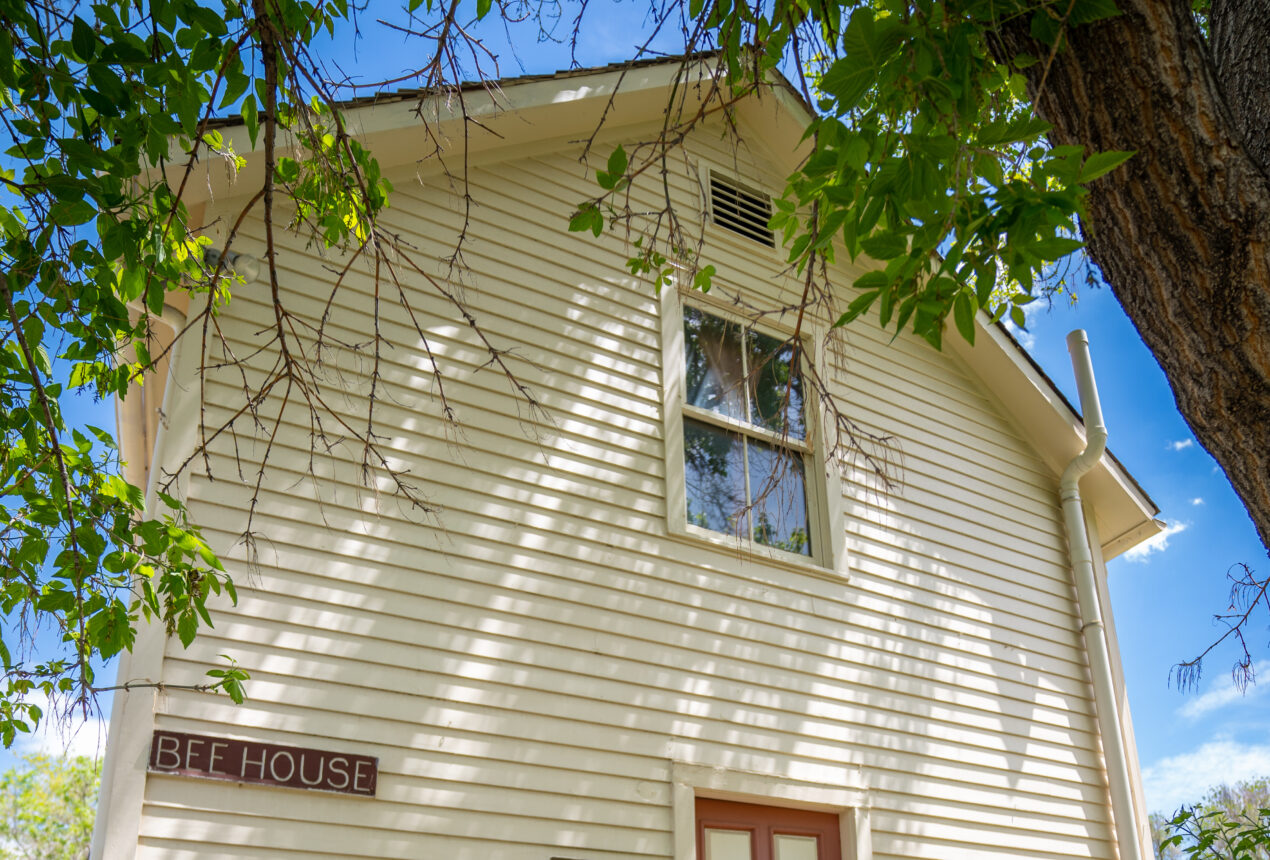 Bee House with beige siding, window, surrounded by tree branches