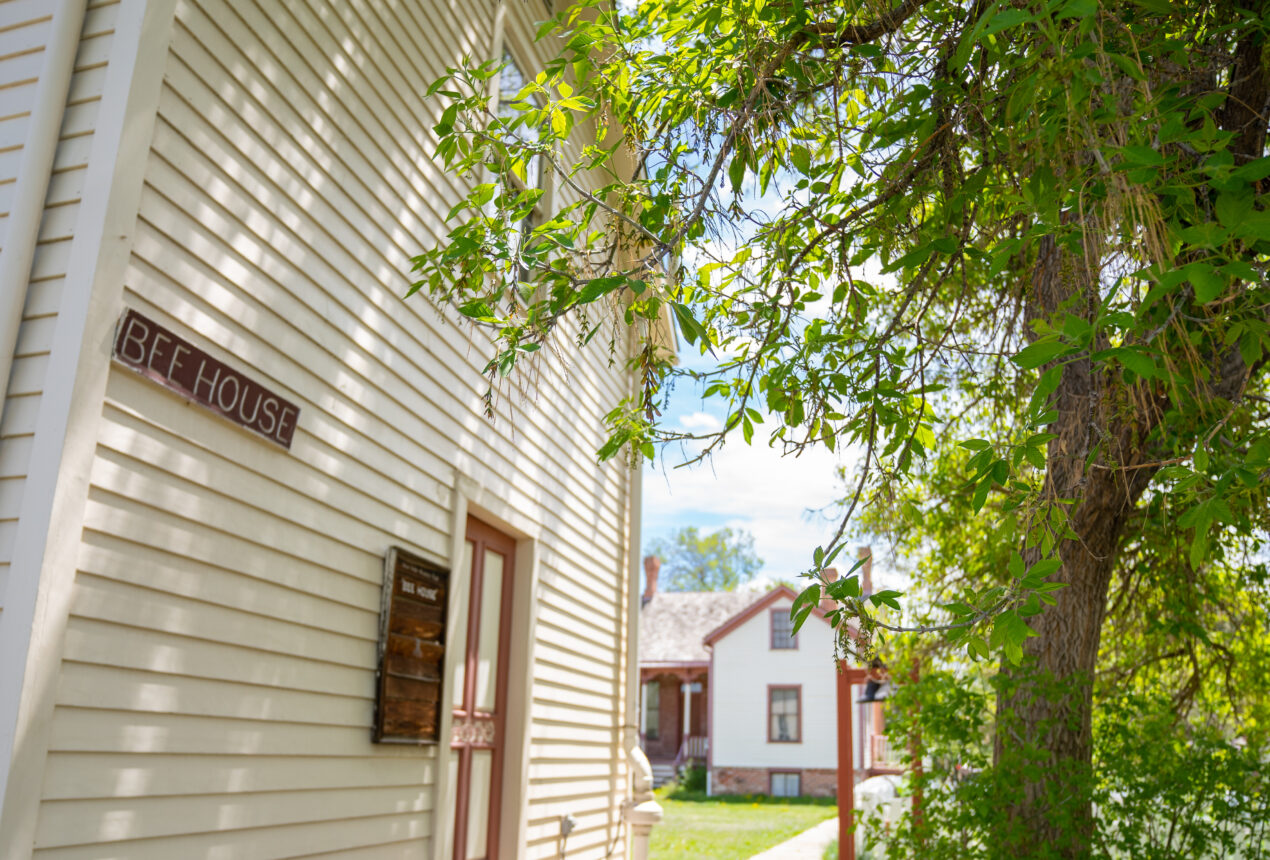 Bee House sign on a cream clapboard building with a tree and distant house in the background