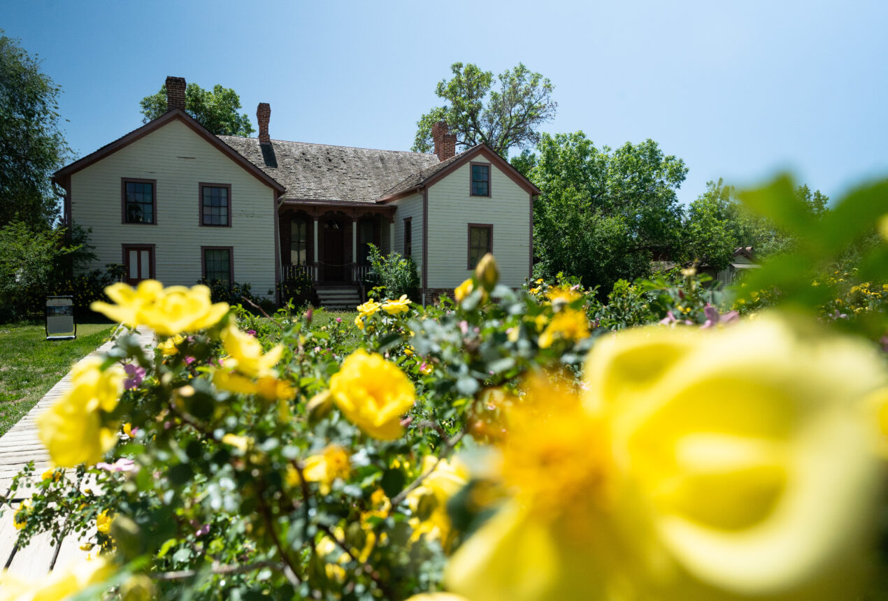 Historic house with yellow rose garden in foreground